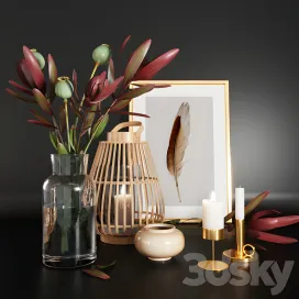 Decorative 41